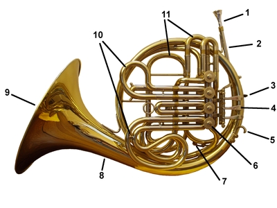 400px-French_horn_front_labelled-2-eb1aa
